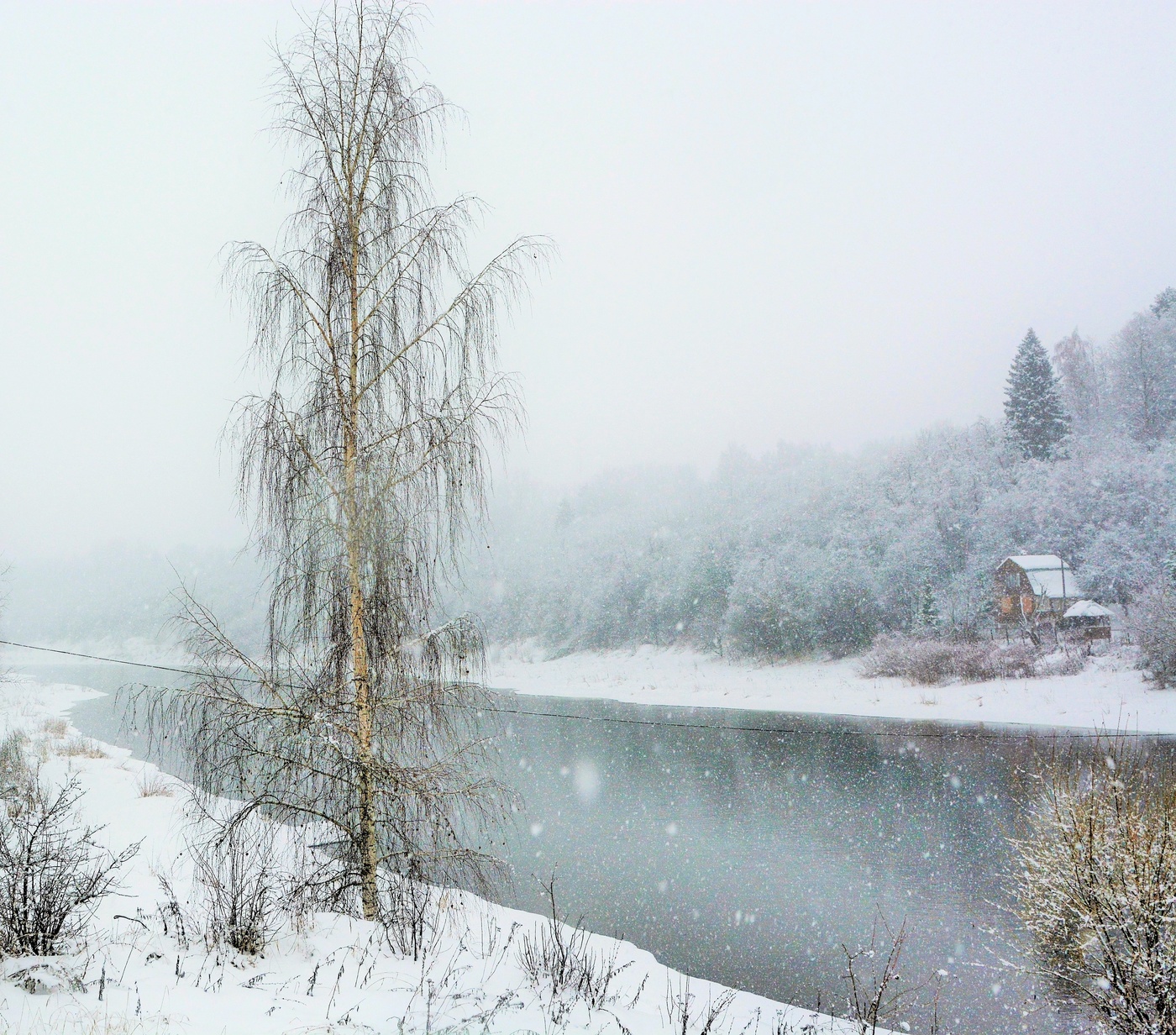 "Стоит березка-скромница, поникла от стыда..."