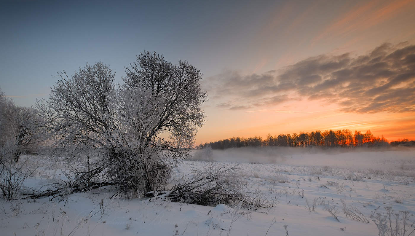 Поднималась яркая заря