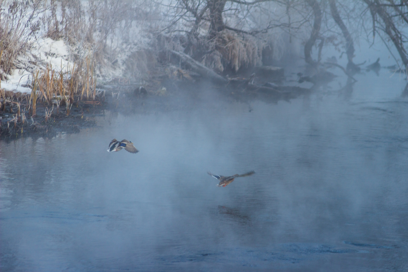 Летят утки...