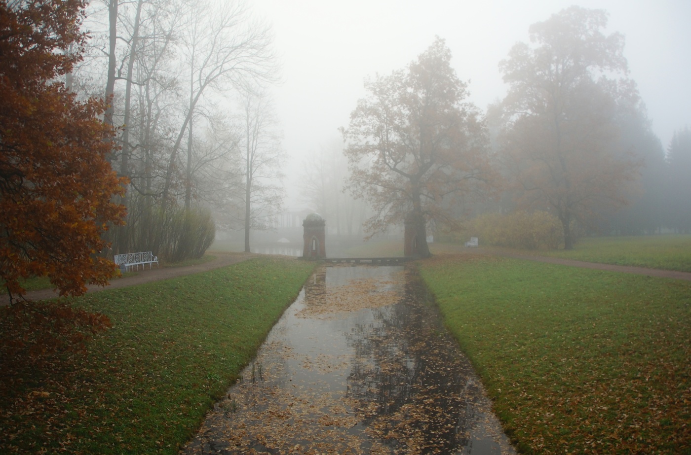 Осеннее утро...