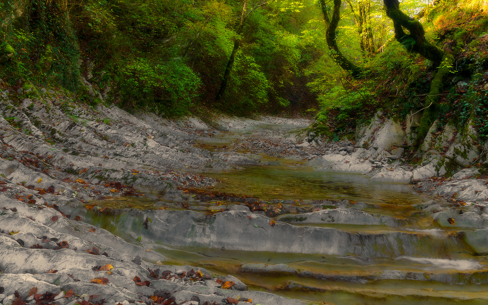 На речке Каменистой