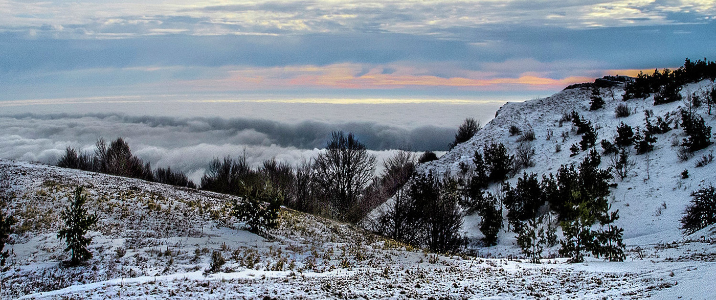 Скудные краски зимы.