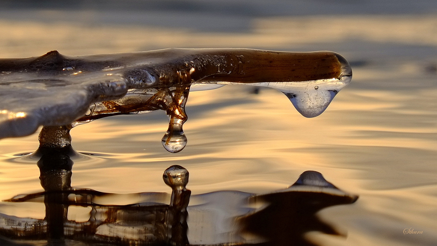 Мороз, вода и лёд.