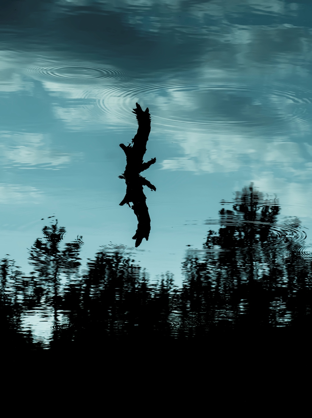 Навождение