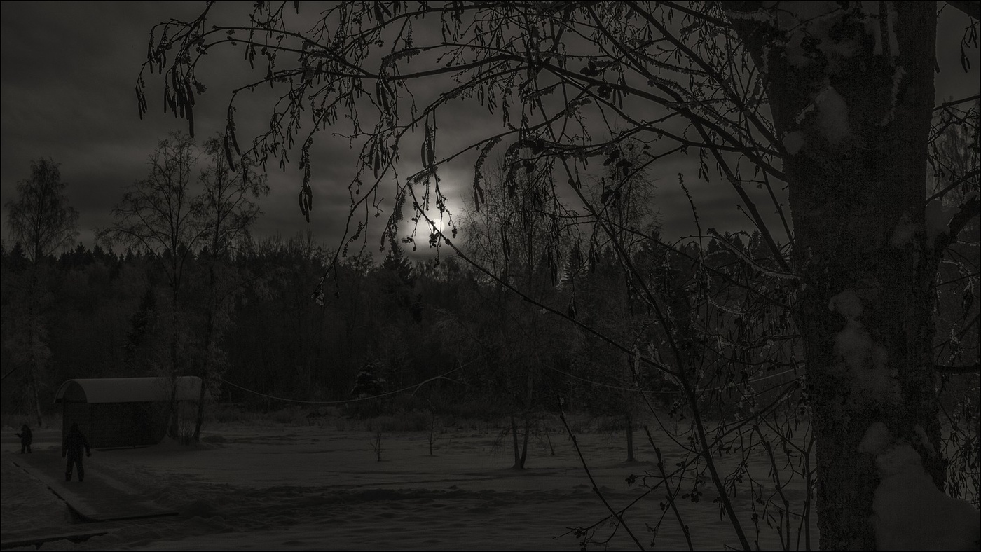 Чёрно-белая зима.