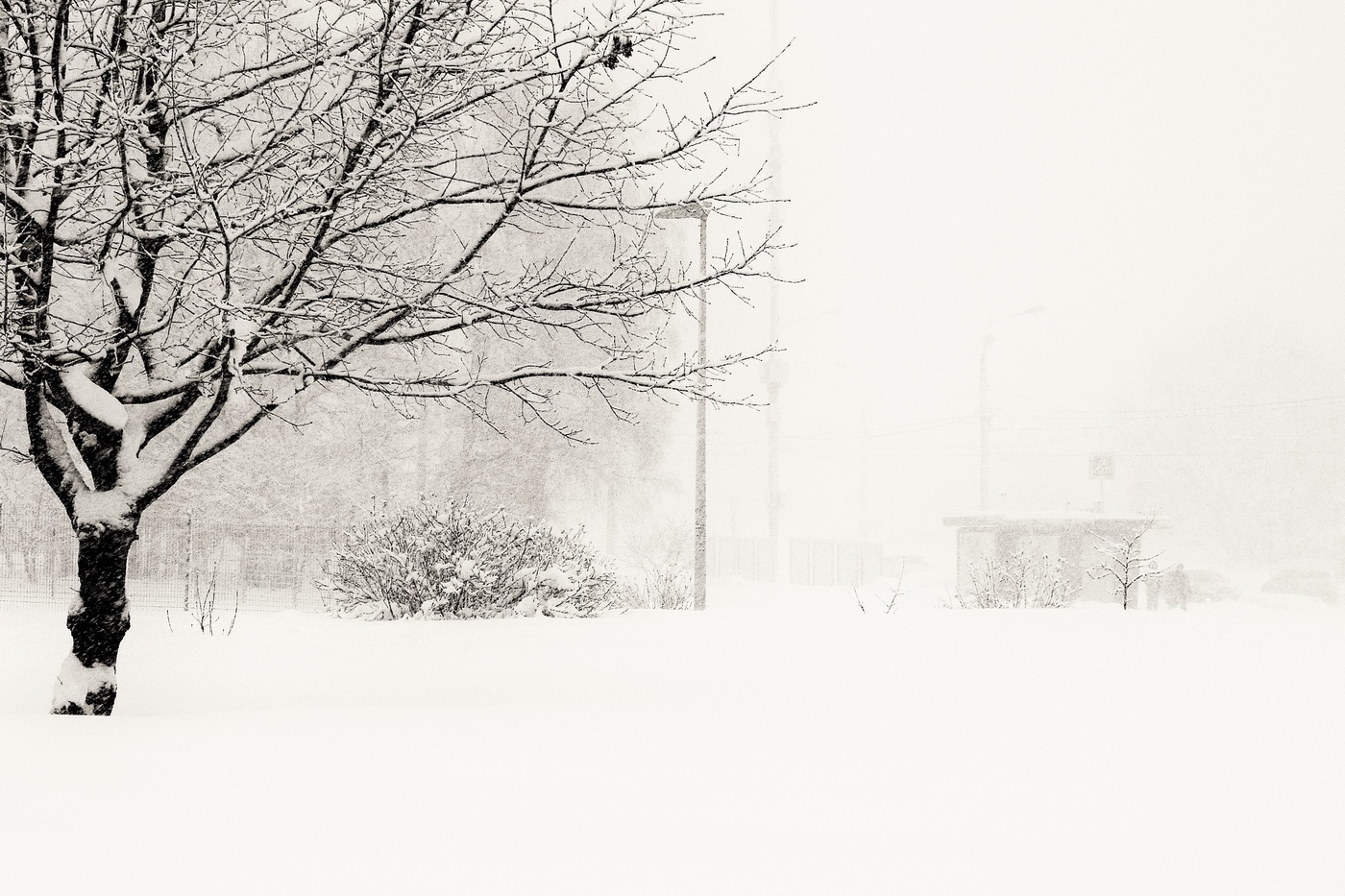 "А просто выпал снег ..."