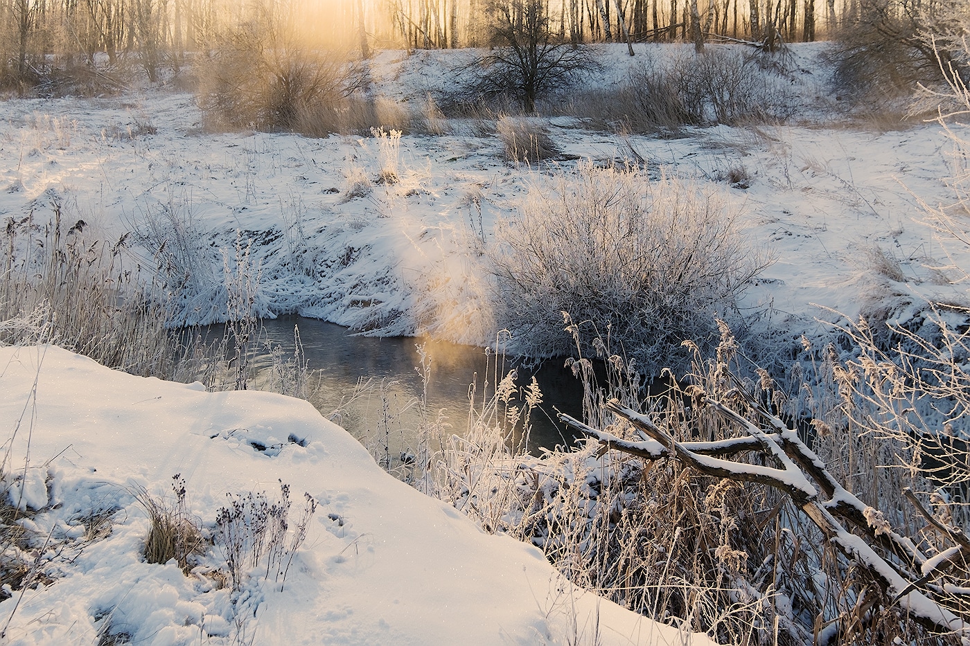 Золотой луч