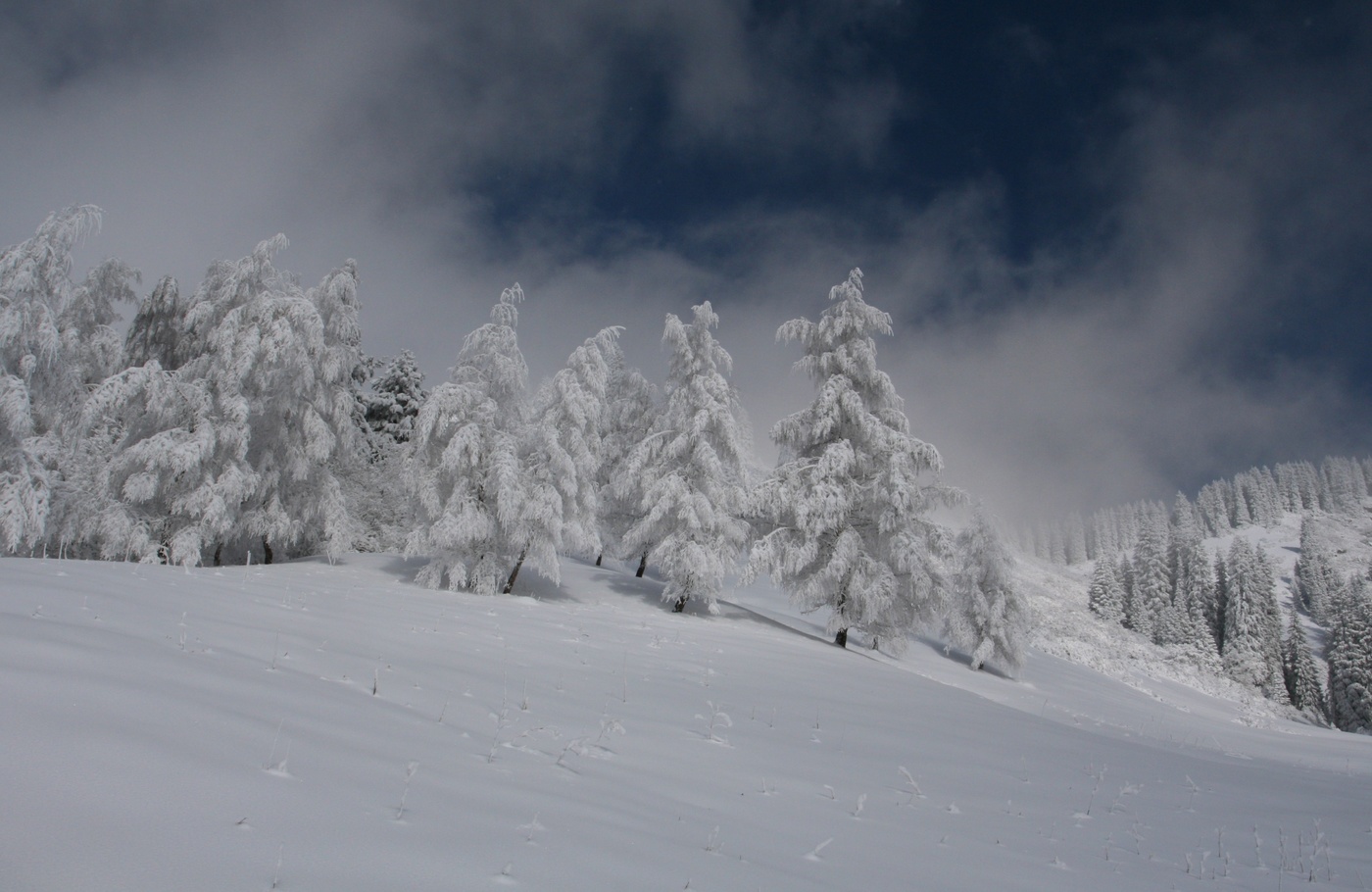 С Наступающим ! Счастья и добра !