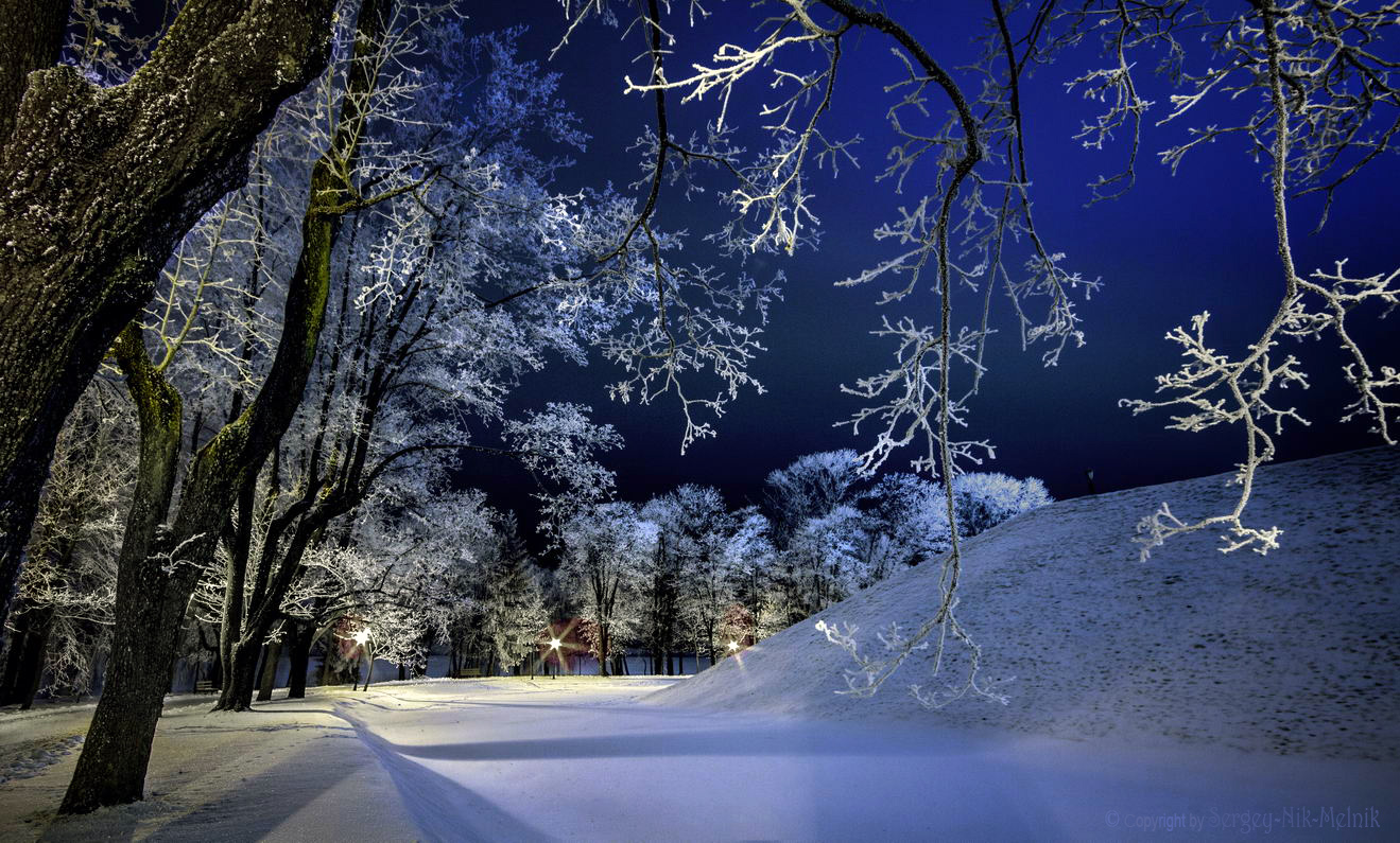 Коралловых рифов царство