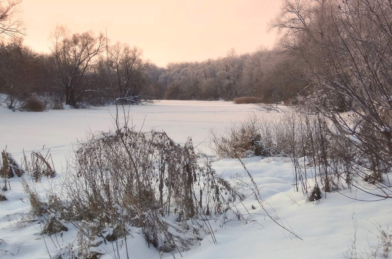 По ветвям развешен иней