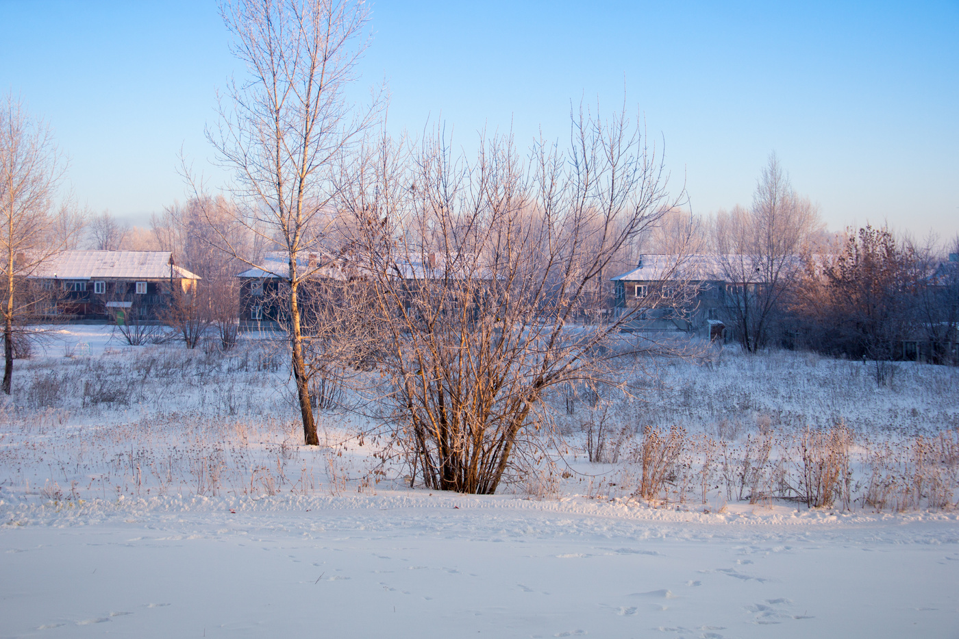 Морозное Утро 30.12.2018г. -29
