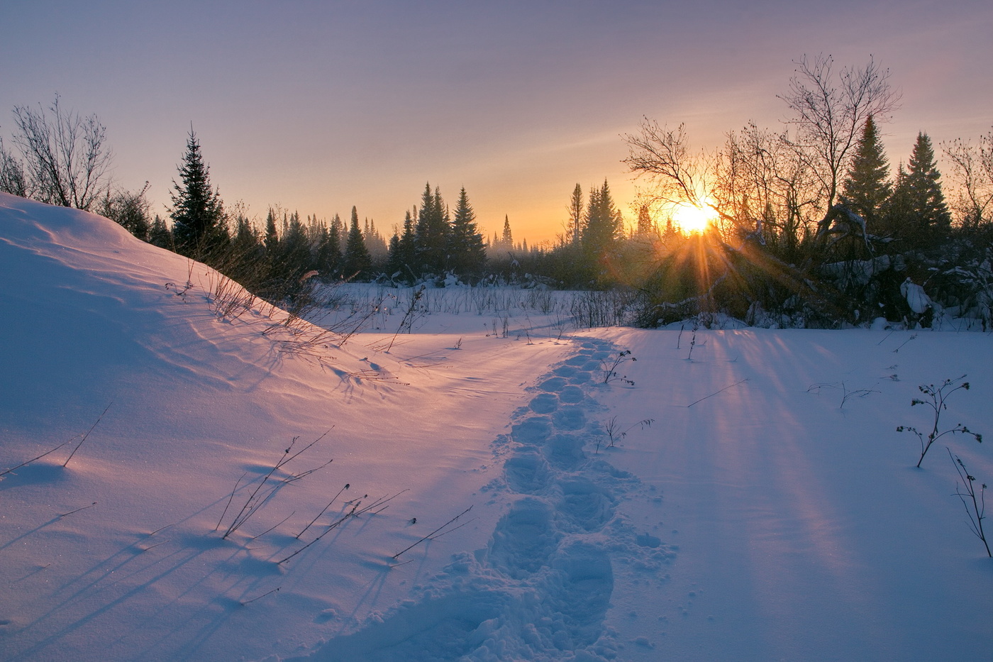 Конец декабря.