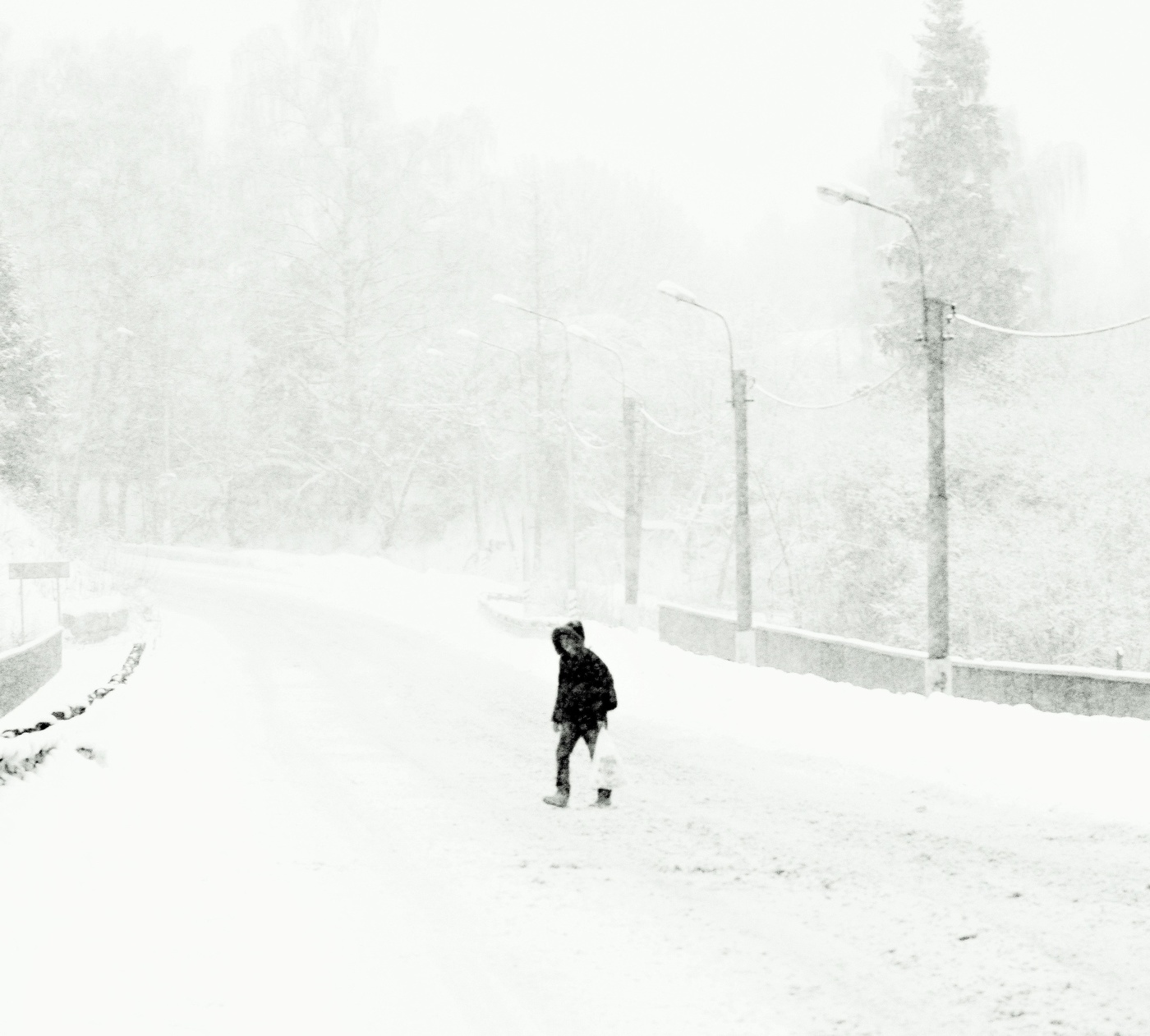 "Он идет неспешным шагом следом за своей тоской"