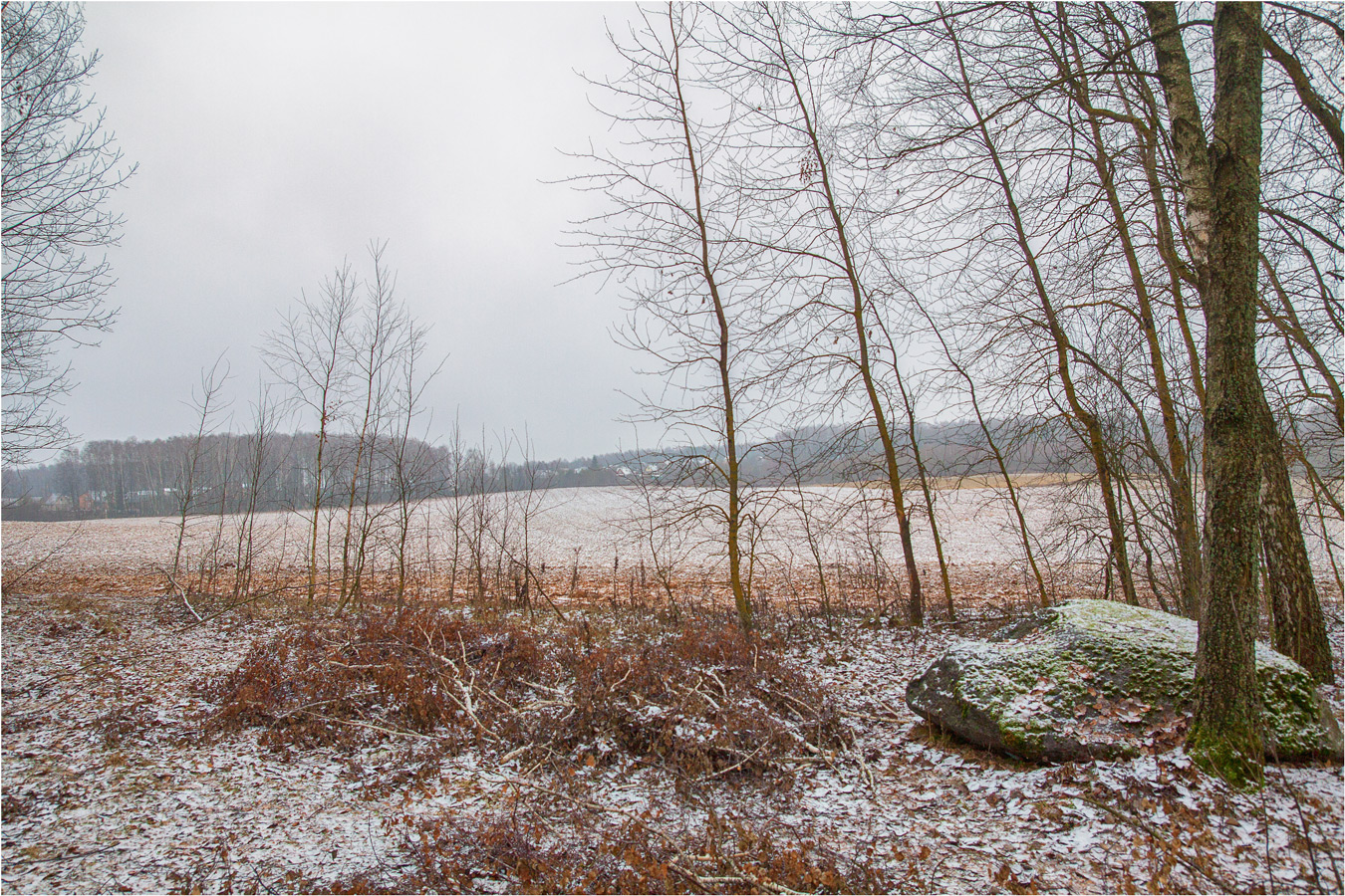 Пейзаж с камнем