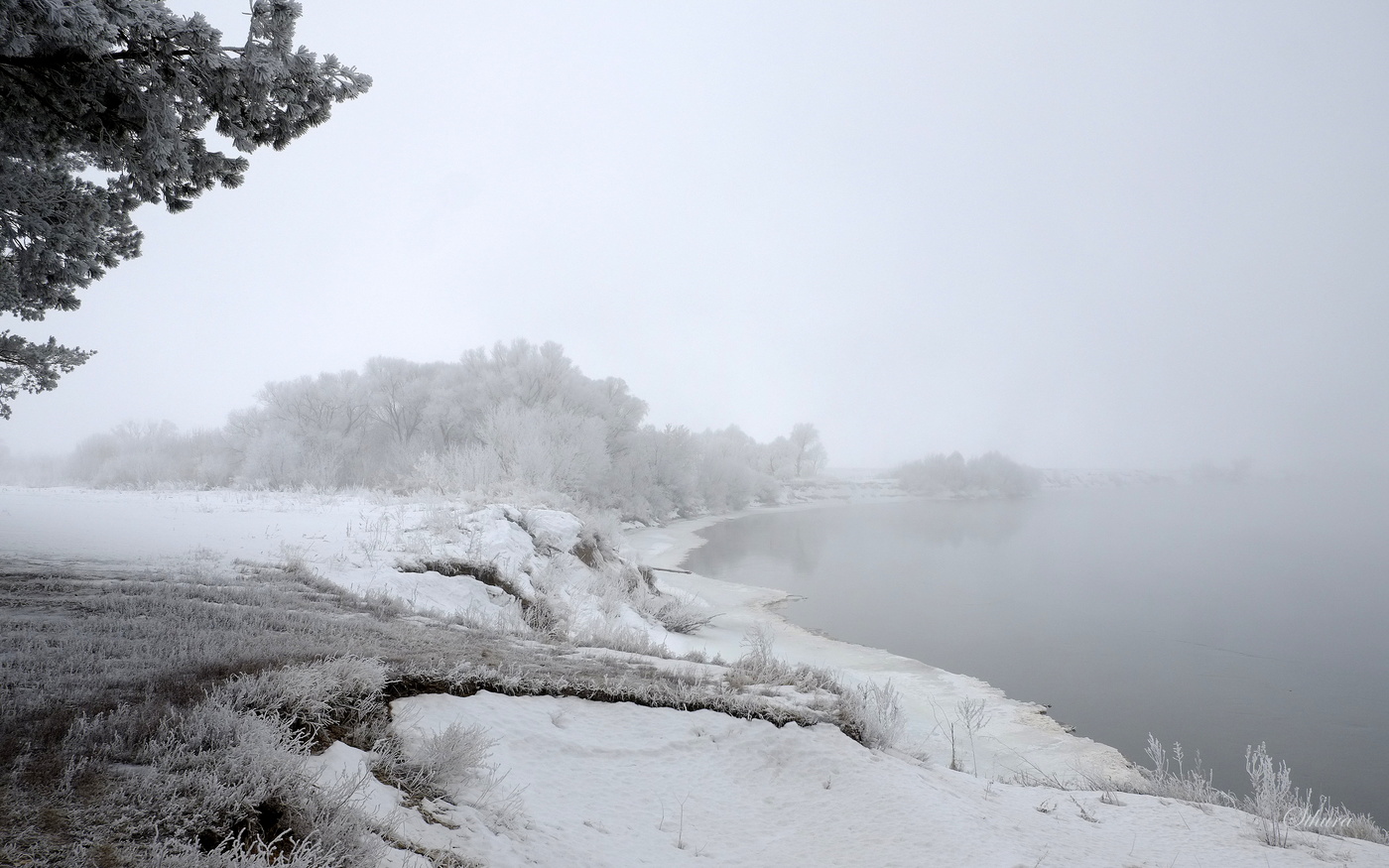Левый берег Оки.