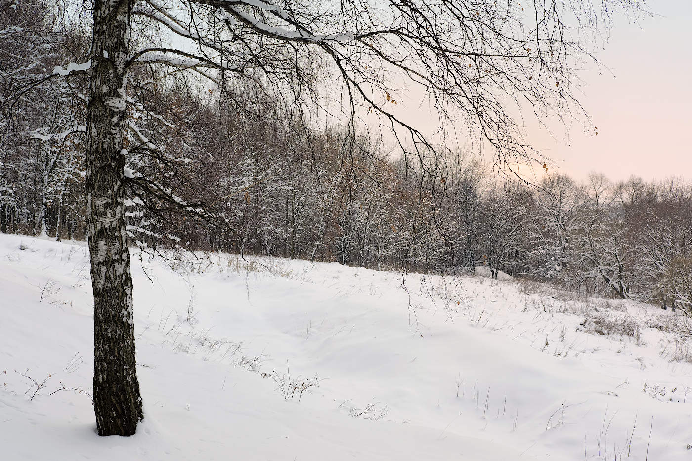 Предновогодняя