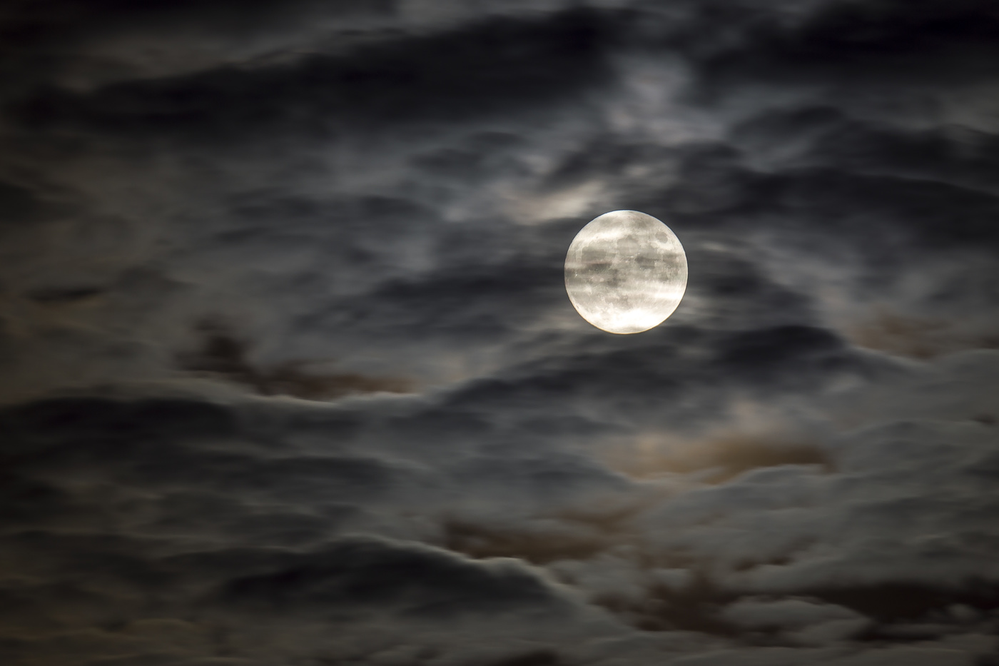 Ночной заплыв