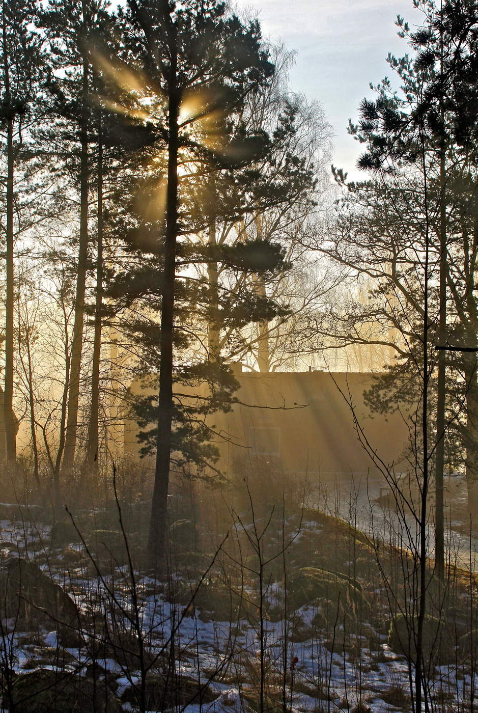 Запуталось :)