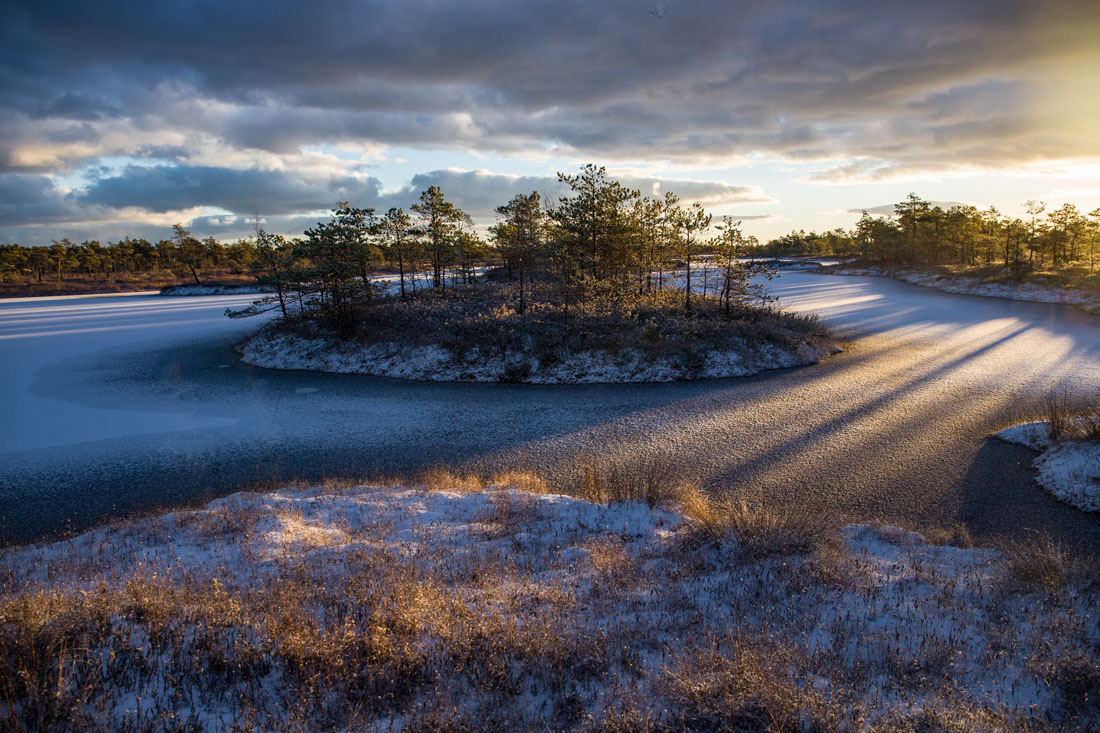 В косых лучах уходящего