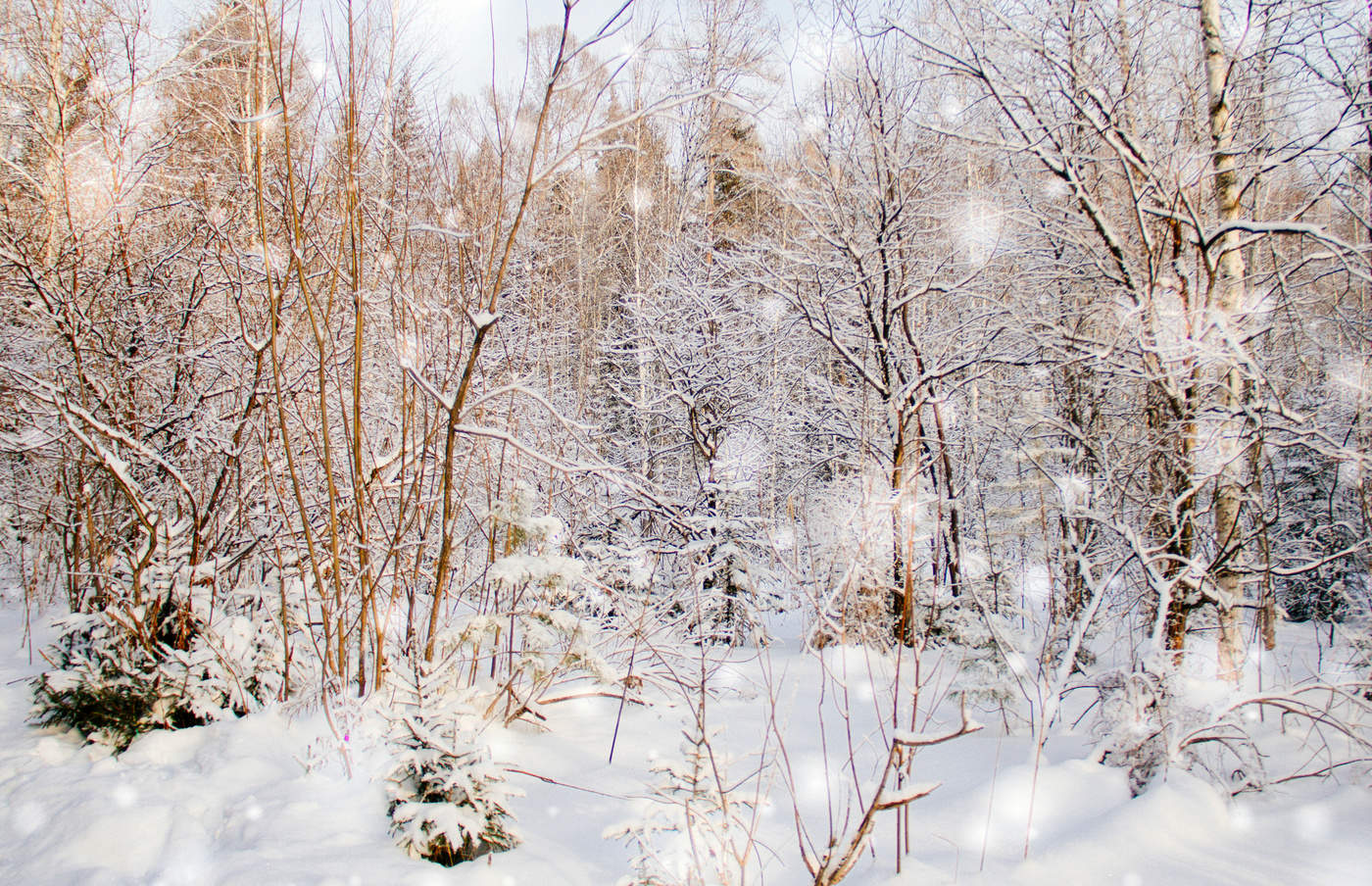 Сказки января.