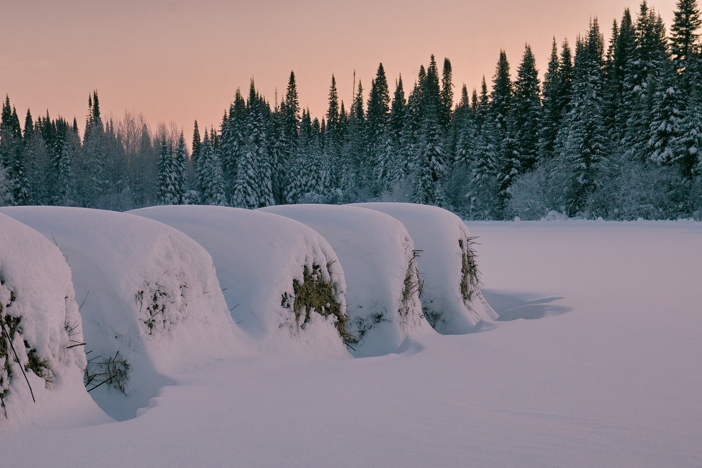 Ритмы зимы.