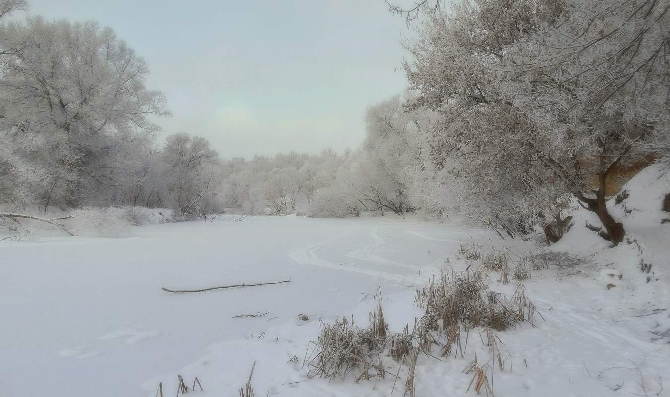 Морозный день