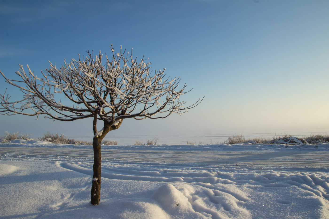 Жизнерадостный денек