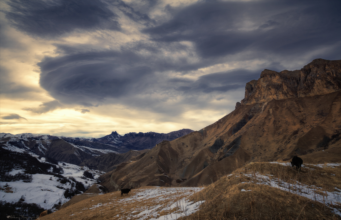 Другая жизнь...