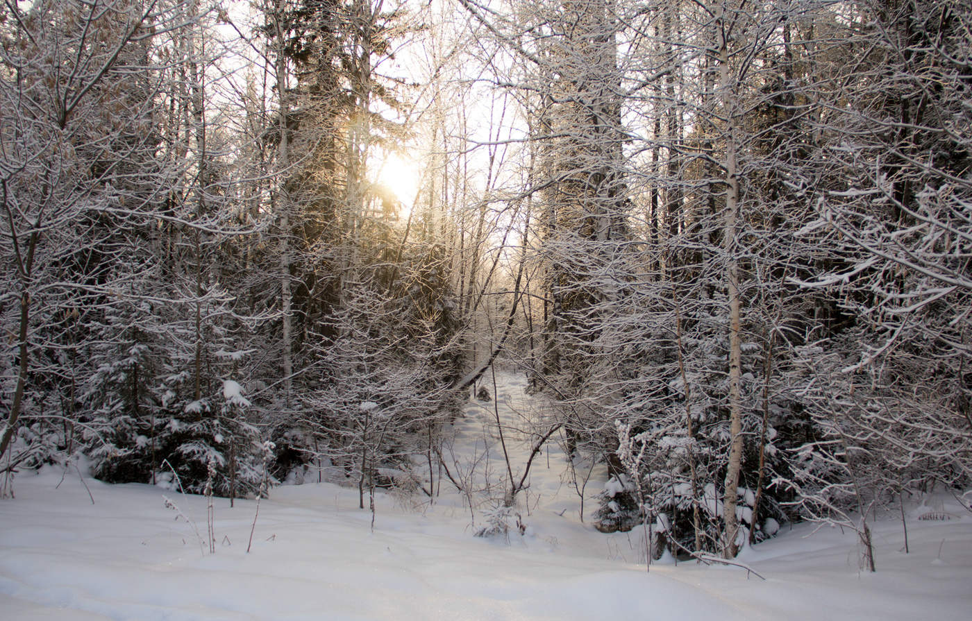 Вот такой он январь