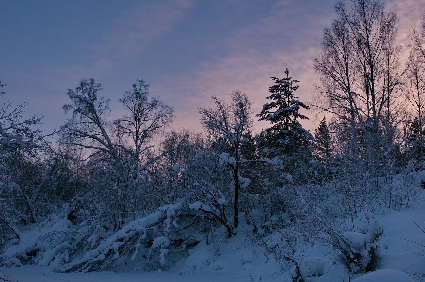 Январским вечером.