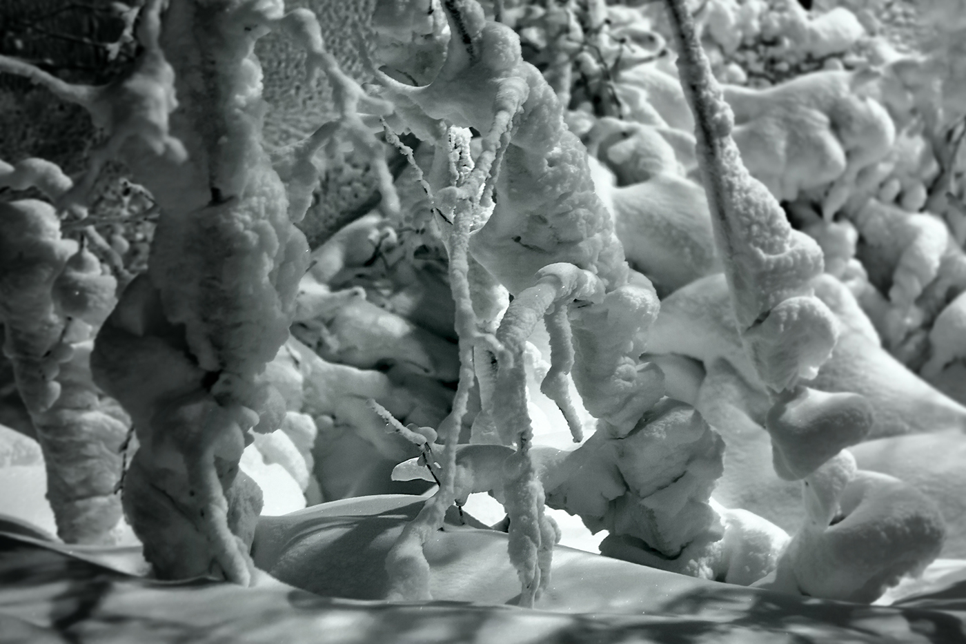 Вот такой он январь