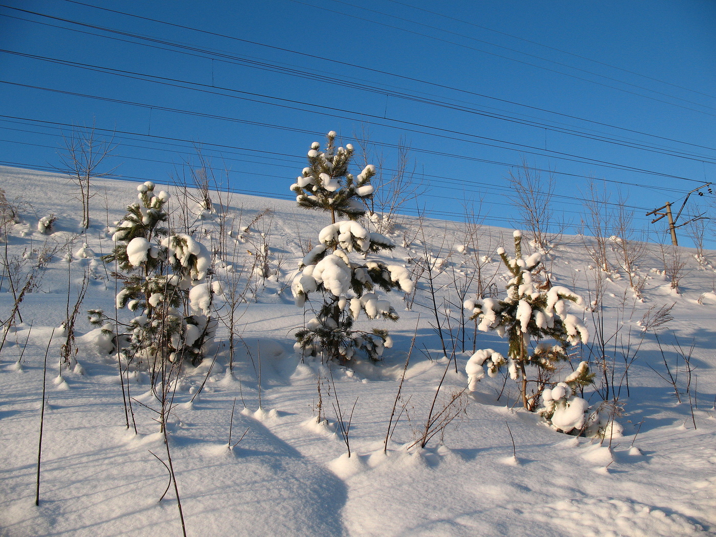 Вот такой он январь
