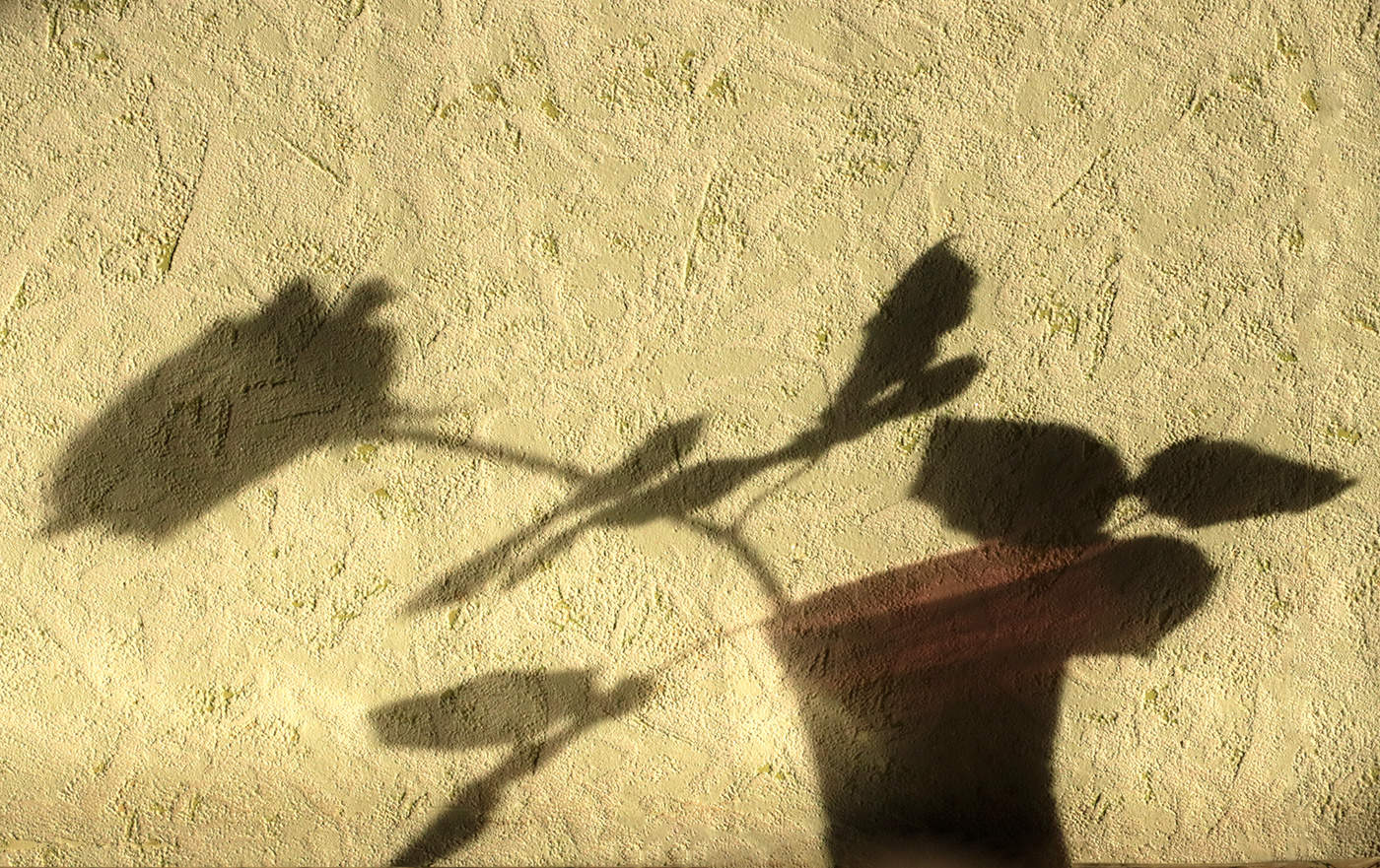 Воспоминание