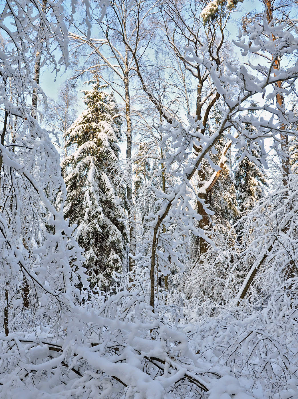 Вот такой он январь
