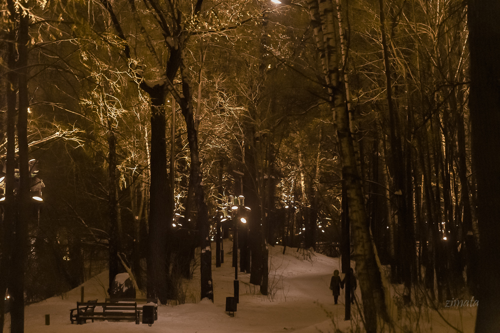 Вот такой он январь