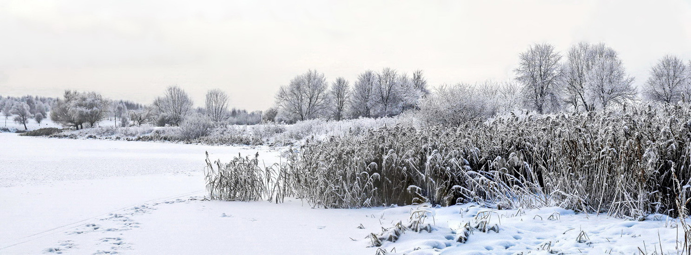 Вот такой он январь