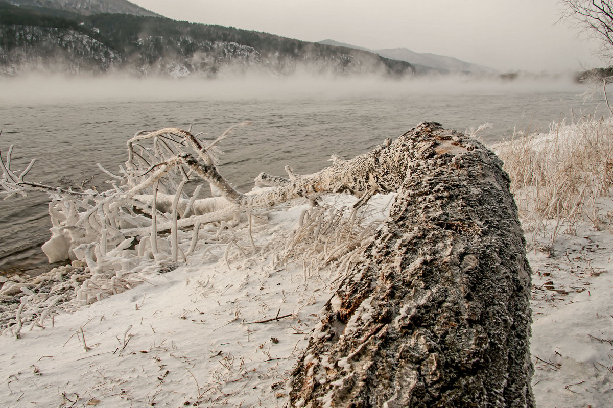 Борьба природы...