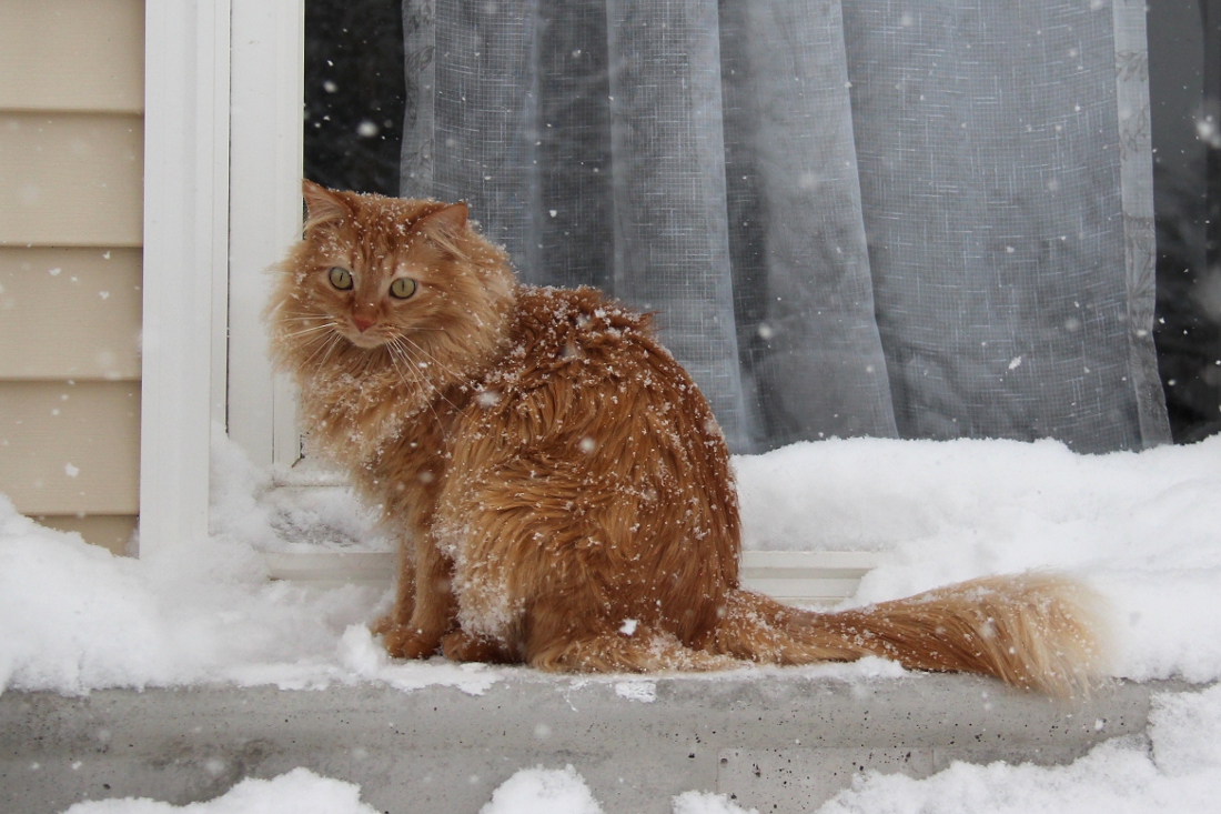 Вот такой он январь