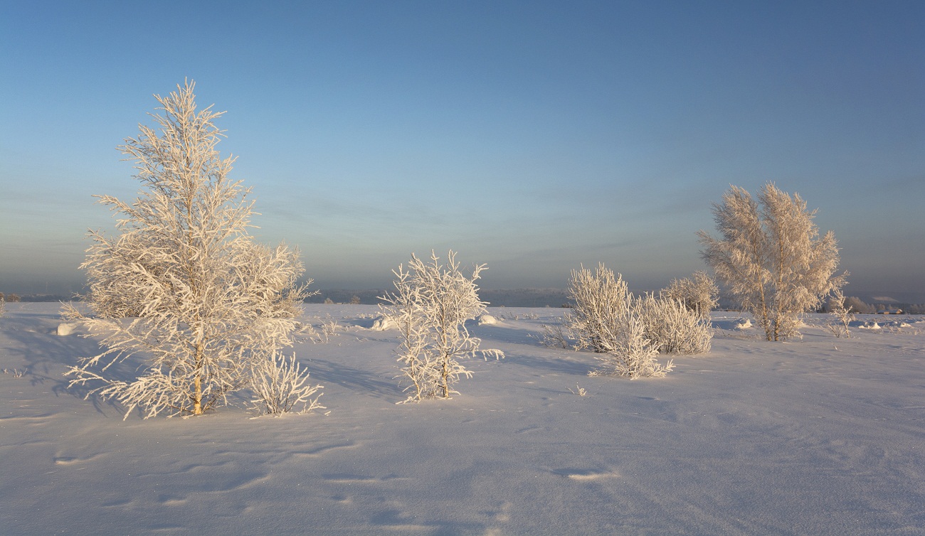 Вот такой он январь