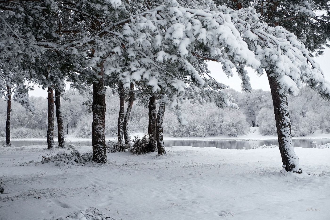 Вот такой он январь