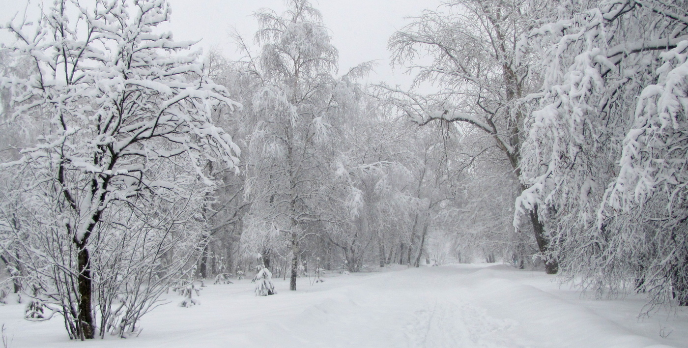 Вот такой он январь