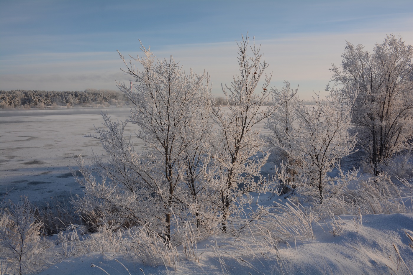 Вот такой он январь.