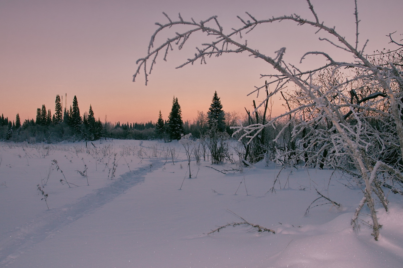 Вечерняя заря.