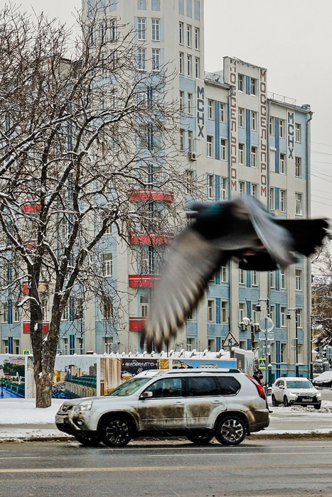 Вот такой он январь