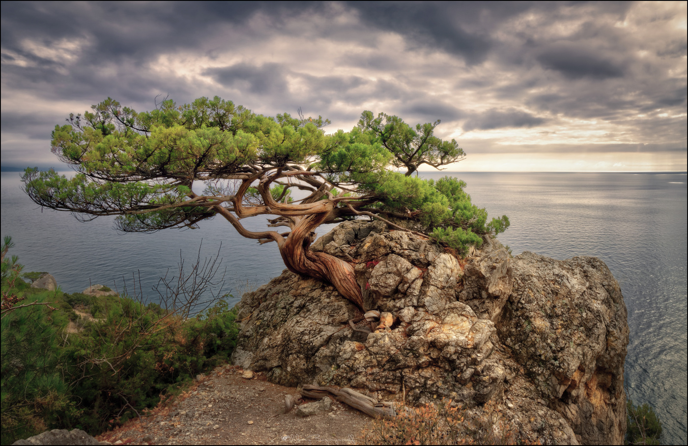 Метаморфозы.