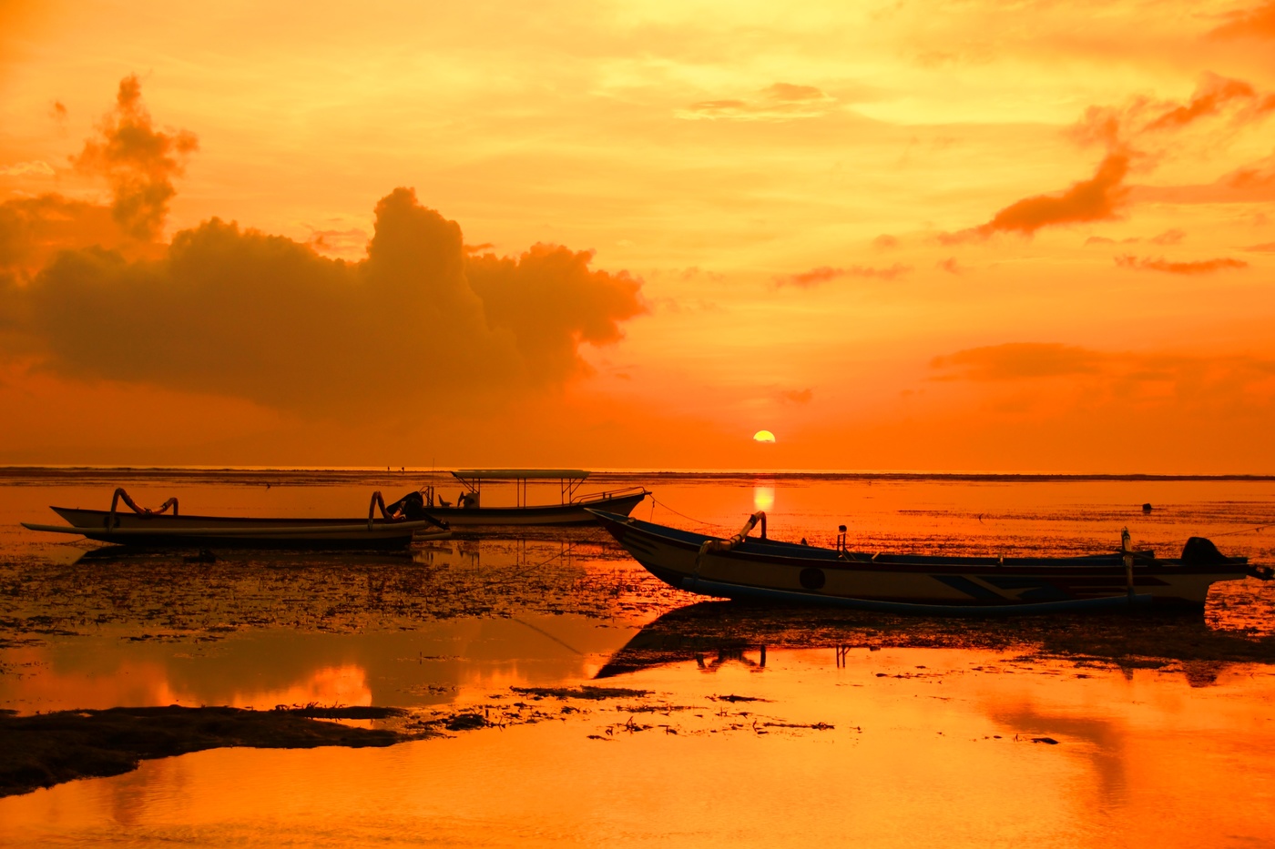 Летние краски...