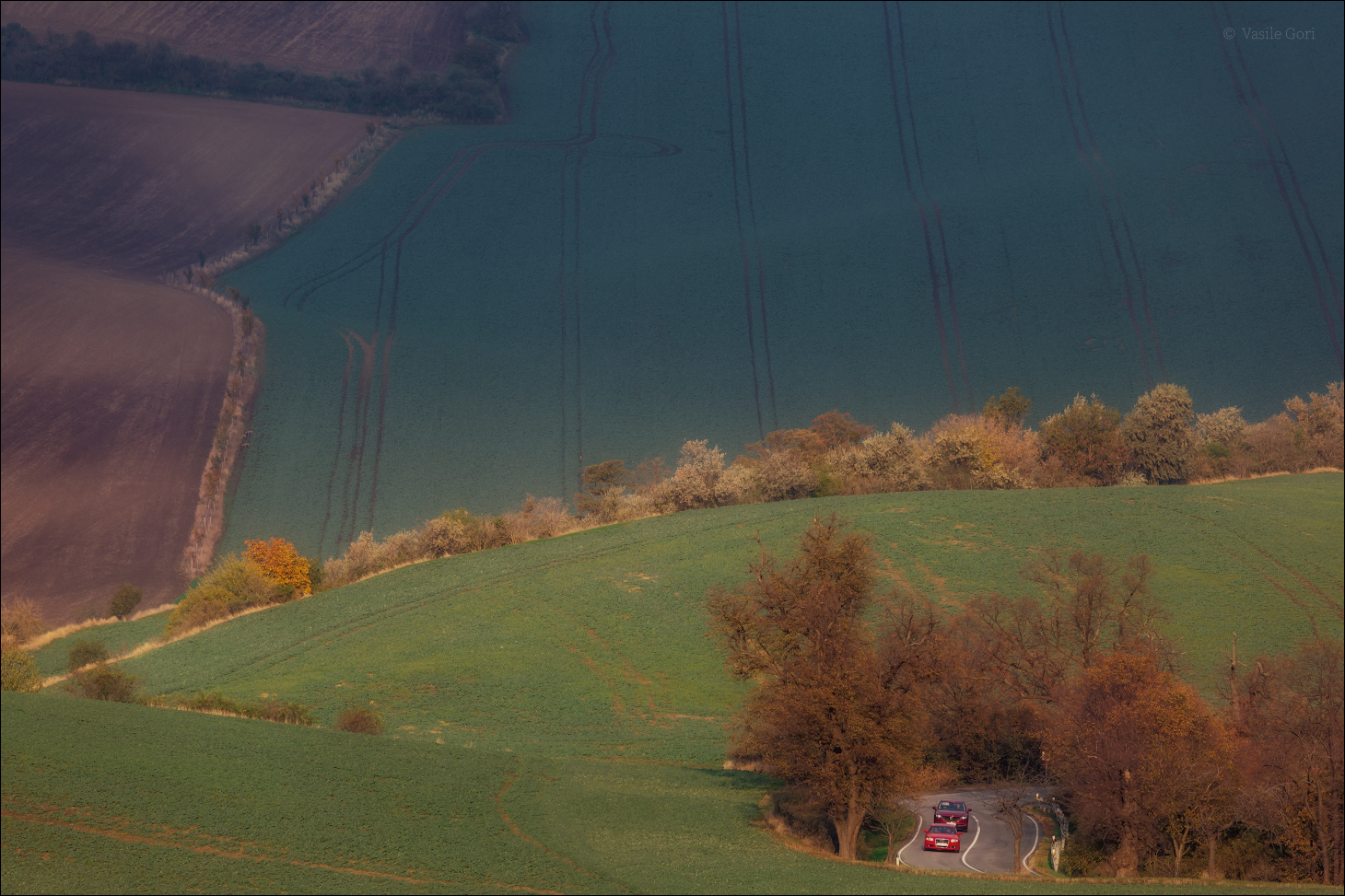 "Гонки по вертикали"