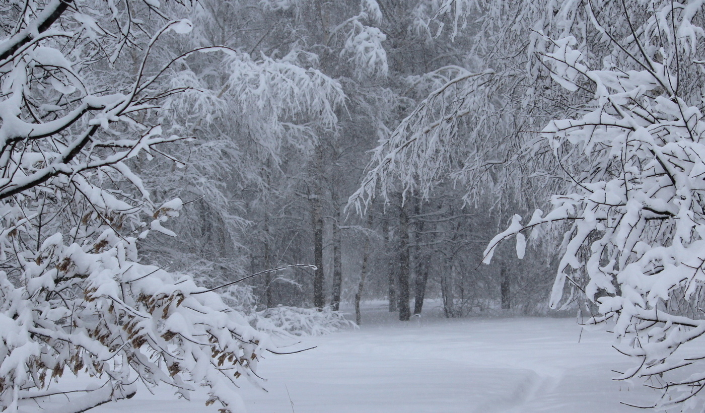 Все в снегу!