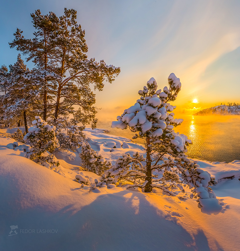 Поздравление от Ладоги!