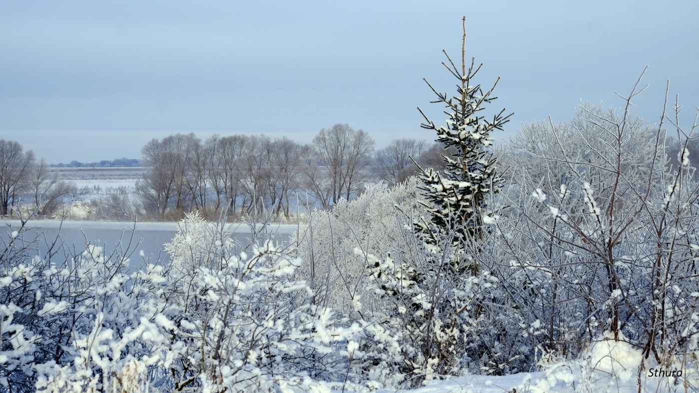 Ока. Зимний пейзаж.